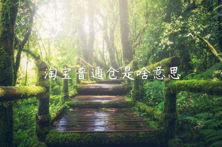 淘寶普通倉(cāng)是啥意思